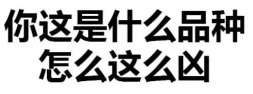趣读丨那些发纯文字表情包的人,都是怎么想的