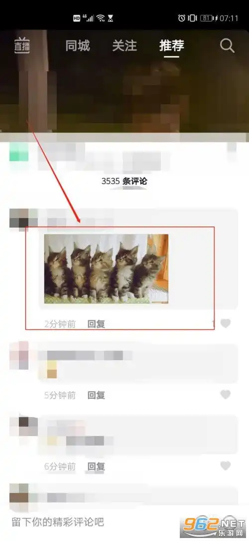 一排小猫点头的动图一排小猫点头的表情包gif下载无水印乐游网游戏下载