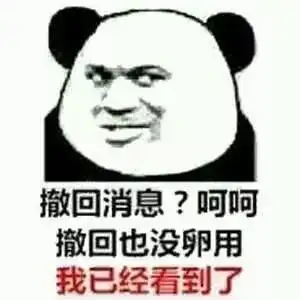 撤回也没用表情包