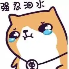东风本田双十一全球狂欢节