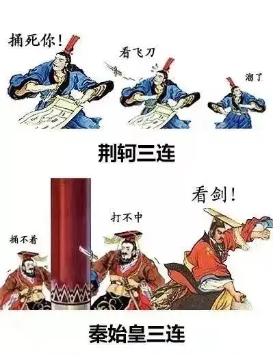 万圣节前怪事多,萌宠上演真实版疯狂动物城