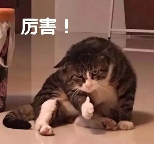 随意一写领走1002万一夜没睡