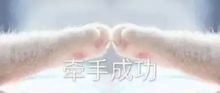 李小雷,说说你抢火车票的经历