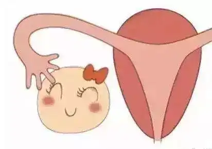 姨妈刚走一周又来排卵期出血了解一下