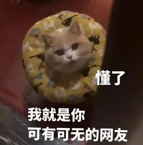 表情宠物表情包懂了,我就是你可有可无的网友哪条狗在我表情