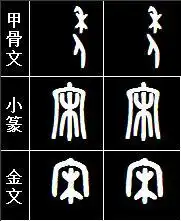 车字的甲骨文金文小篆
