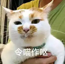 难过萌翻全世界的网红狗俊介去世,楼楼也走了,上帝把我们的表情包都带走了...