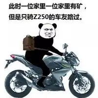 骑摩托表情包