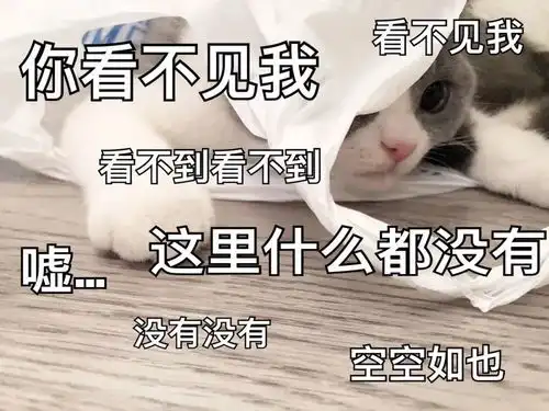 劲爆抢票问题囤票问题一次解决12306大招硬怼抢票软件