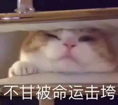 警惕腿被泡烂洪灾过后需防范这两点广东多地暴雨引发洪水内涝