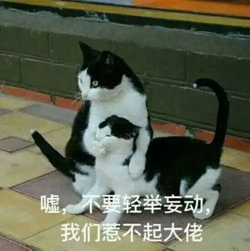 大战乳糖不耐,猫科专家这样说牛奶是个好东西