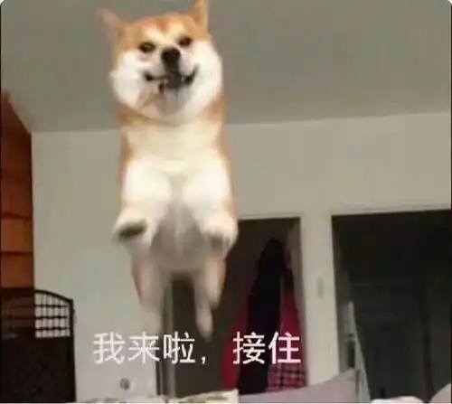 我的收藏
