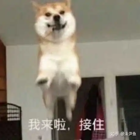 表情女朋友发了一个可爱的狗向自己跑过来的表情包一个用什么表情包回...表情