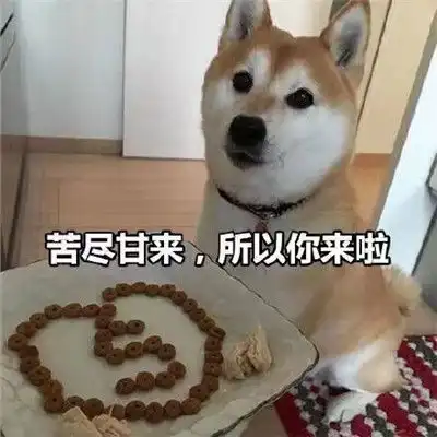 网上爆火的搞笑吃瓜聊天表情包word很大请忍一下
