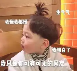 萌娃表情包我懂,我只是你可有可无的网友而已嘛