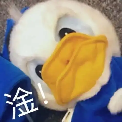 表情包丨今天也是快乐的一天
