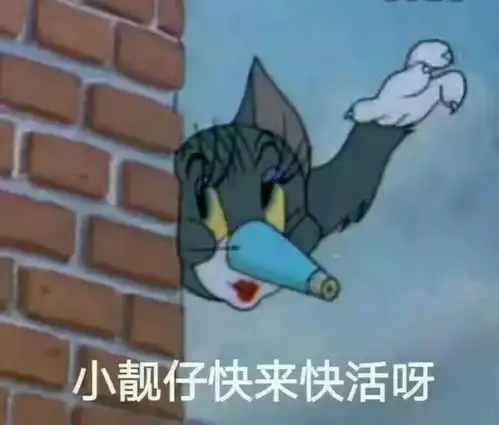 每日表情微信聊天表情包
