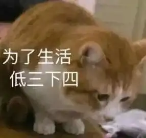 表情包我可以报名成为你的下一任吗