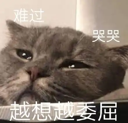 可怕,一言不合就要猫命拿什么对付它