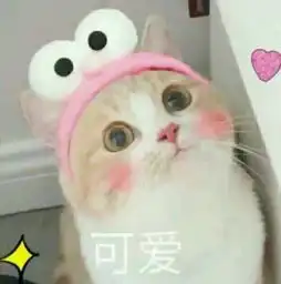 一个完全不运动的人和经常运动的人通常身体素质有大的差距
