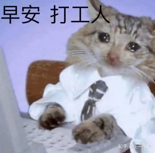 女孩子经常发表情包会让人讨厌嘛