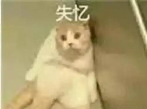 一脸糊相也能火后台这么硬的么