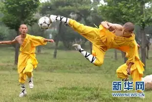 少林寺否认参与登封足球学校