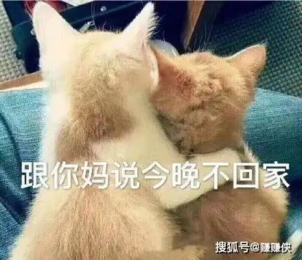 撩骚表情包图片跟你妈妈说,今晚你不回家了