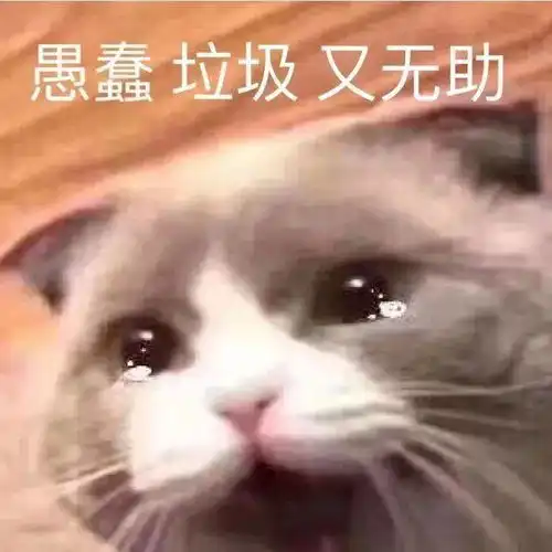 考研太苦,上岸太难送你表情包防身用