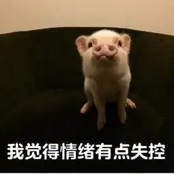 震惊了冇念到粤语竟然咁犀利,连地道老广都睇唔明...