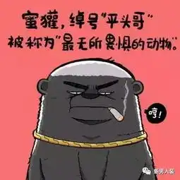 要说动物里脾气最大的,一定是社会我平头哥