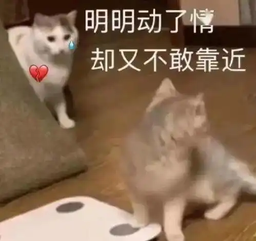 抖音表情包宁愿给支付宝发在吗,都不发给我
