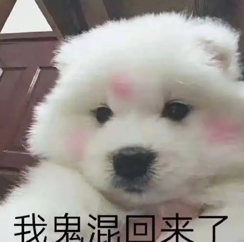 1收藏夹