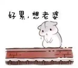 琪宝照片琪宝相册大全yy官方