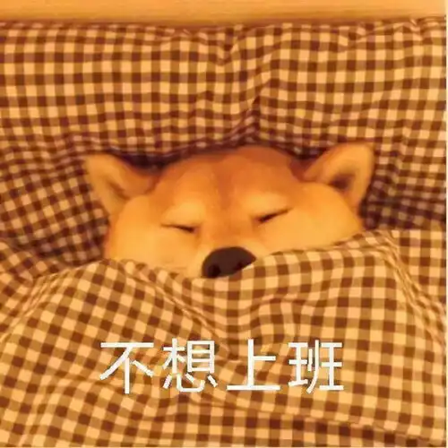 表情包柴犬冬季懒床表情,我再睡一会儿