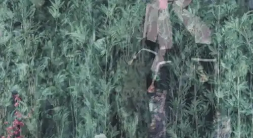 舞蹈担当这个又美又飒的古典舞小仙女由我来承包