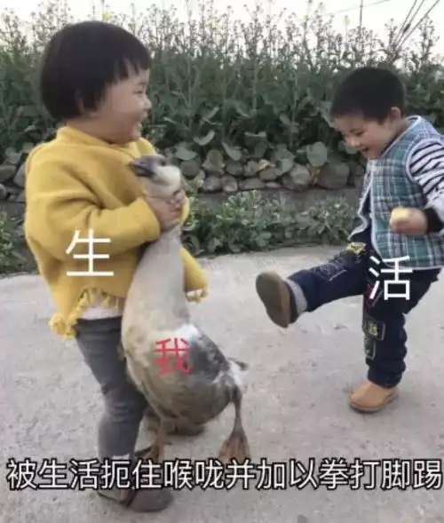年轻人第一次被社会毒打,99.9是因为租房