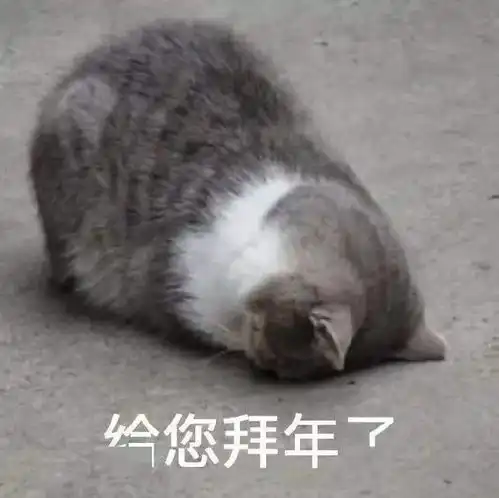 封面记者手绘新年进行时,年味正浓