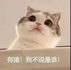聊天实用表情包