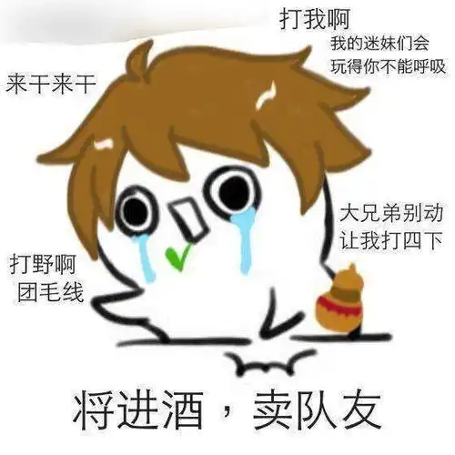王者荣耀中,你的本命英雄是谁,为什么