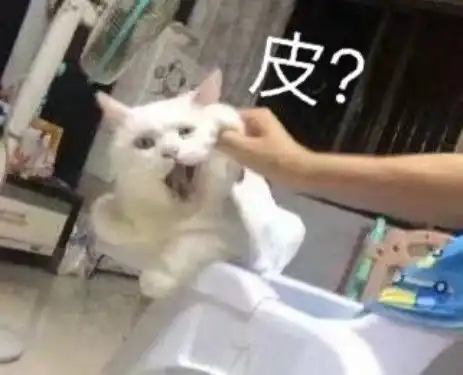 撩人怼人必备的表情小哥哥你别跑呀,快来陪我玩儿
