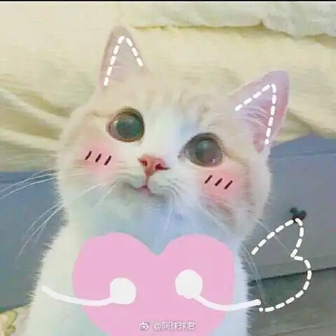 团课开课啦第一弹语言表达能力