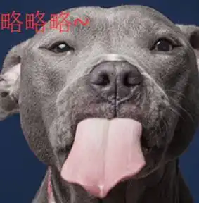 汪三喵四吐槽奥运跪下唱征服