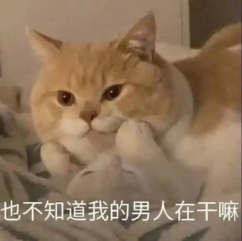 沙雕表情包我喜欢这个世界我不喜欢你
