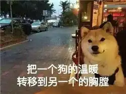 2017情人节祝单身狗节日快乐表情包送给情人节找不到对象的你