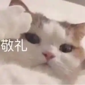 聊天表情包你让我觉得认真喜欢一个人也就这样