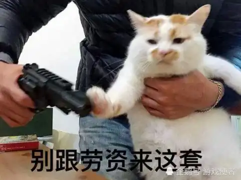 王姐又想骗我养猫了,来款这个喵与筑它不香吗