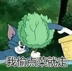 中国人种菜的征途是星辰大海,给我一块地,还你一个菜园