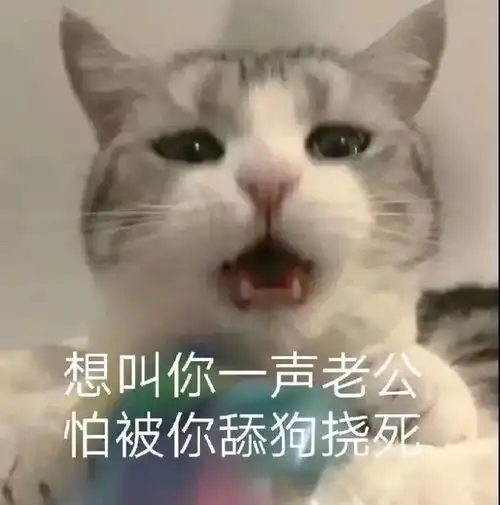 表情包工地活多,告辞