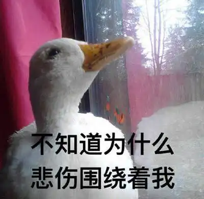 神回复你表弟的确是比你优秀